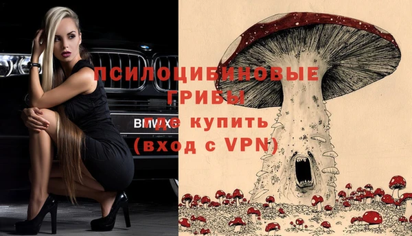 хмурый Куйбышев