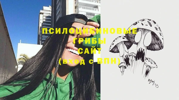 mix Лабытнанги